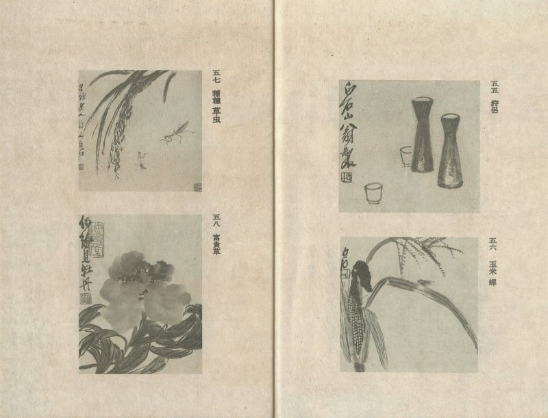 花鸟水族（四帧） - 图4