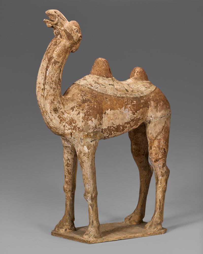 中國 唐 彩繪陶駱駝  CHINA, TANG DYNASTY (AD 618-907)
