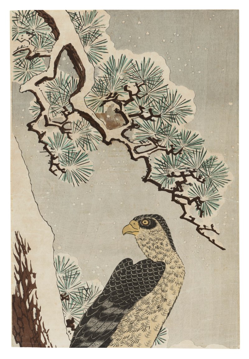 UTAGAWA HIROSHIGE (1797-1858)  Hawk on Snowy Pine Tree - 图2
