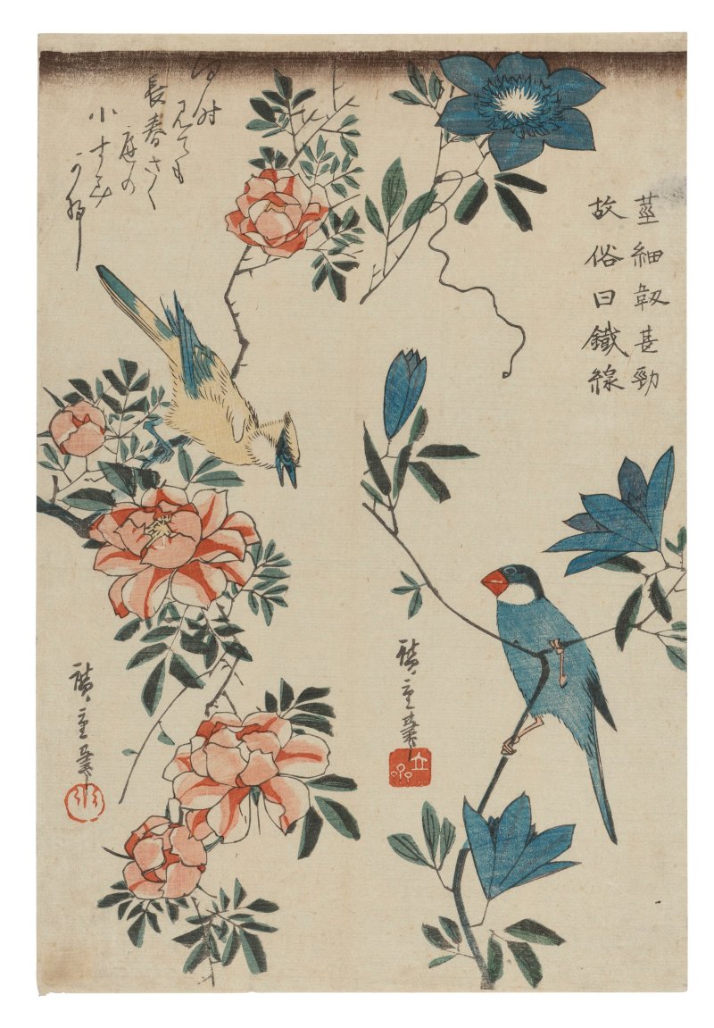 UTAGAWA HIROSHIGE (1797-1858)  Java Sparrow and Clematis, Oriole and Wild Roses - 图1
