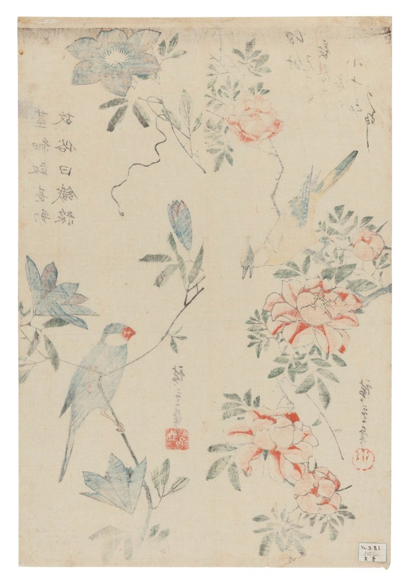 UTAGAWA HIROSHIGE (1797-1858)  Java Sparrow and Clematis, Oriole and Wild Roses - 图2
