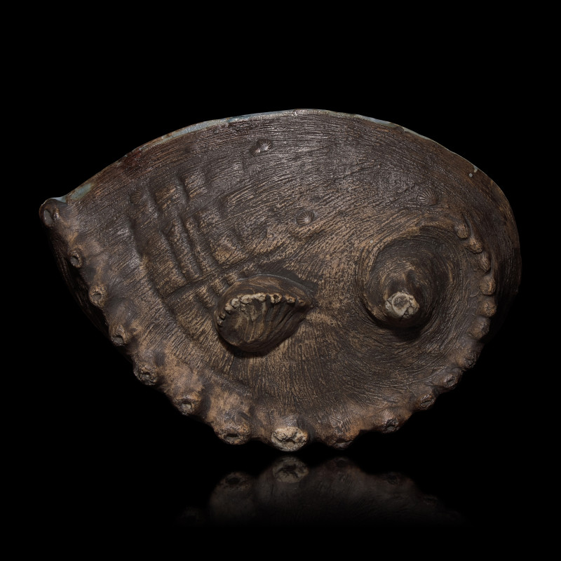 日本明治時代 平戶燒青花仿鮑魚花草圖碟 | A Japanese Hirado Porcelain Abalone Shell-Shaped Dish, Meiji Period - 图4