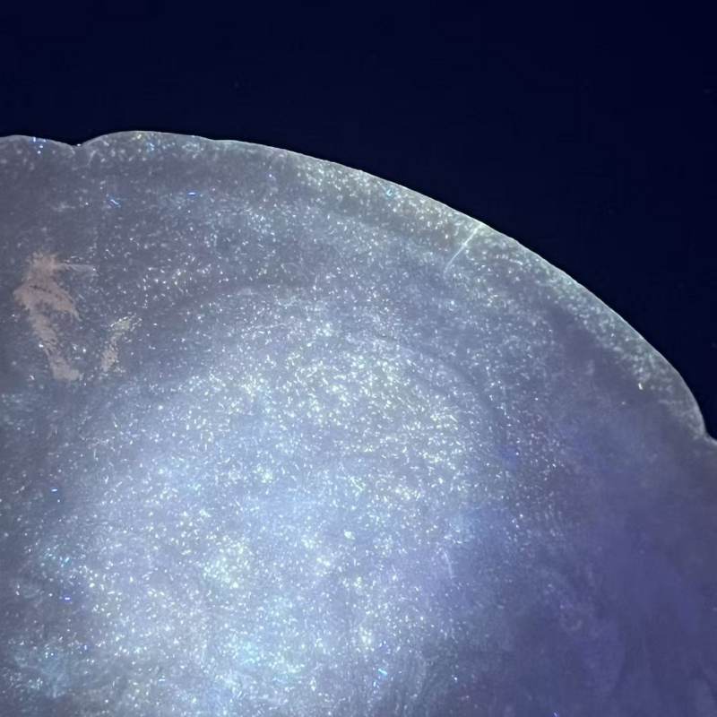 明代 青白釉刻花葵口碗 - 图9