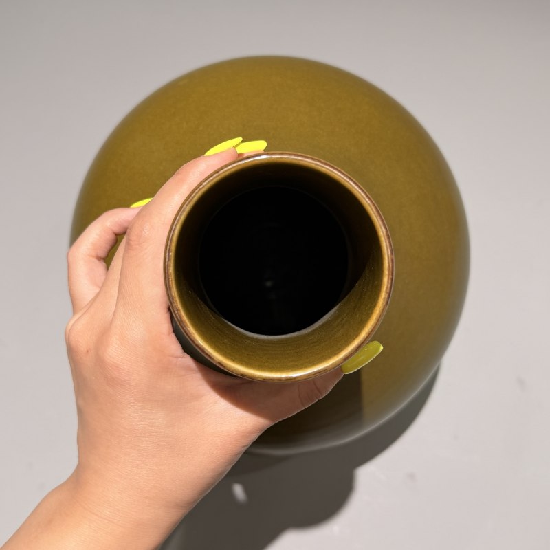 清光绪 茶叶末釉荸荠瓶 - 图5