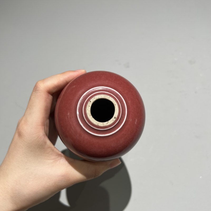 清代 豇豆红釉莱福尊 - 图4