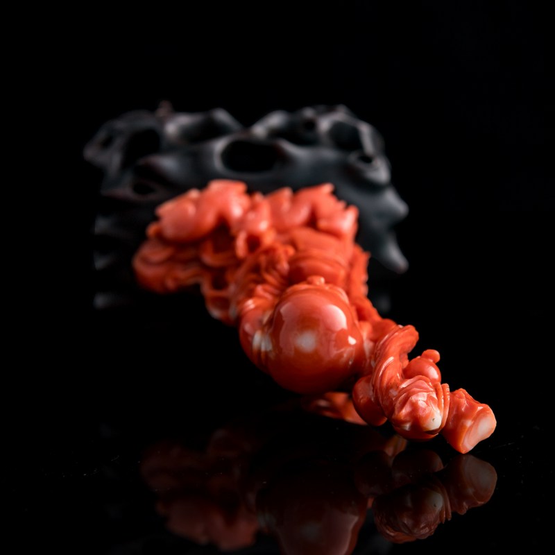 十九世紀 珊瑚雕壽星（附硬木座） | A Chinese carved coral figure of Shouxing, 19th century - 图5