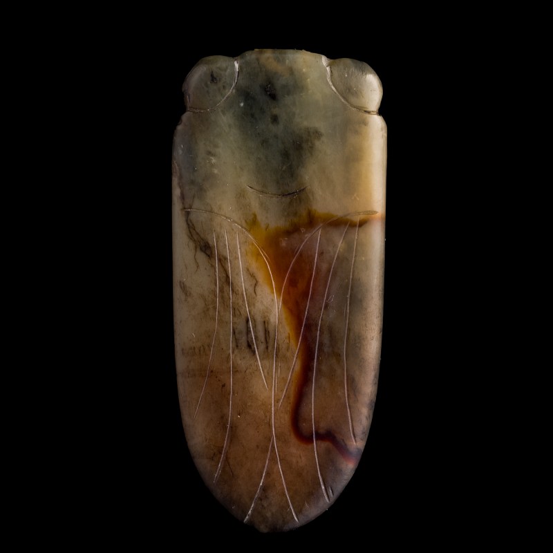 明代 玉蟬 | A Chinese jade cicada, Ming dynasty - 图6