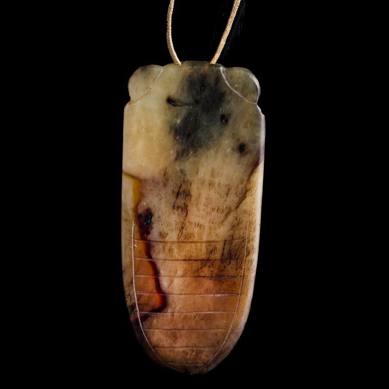 明代 玉蟬 | A Chinese jade cicada, Ming dynasty - 图7