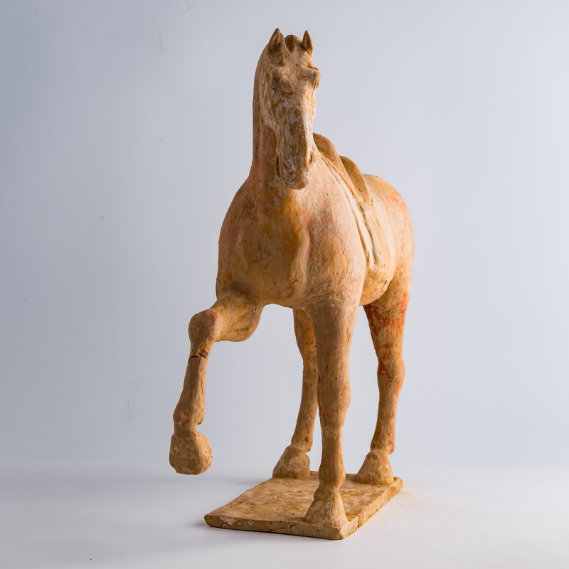 唐代 陶馬（附熱釋光證書） | A Chinese pottery horse, Tang dynasty - 图5