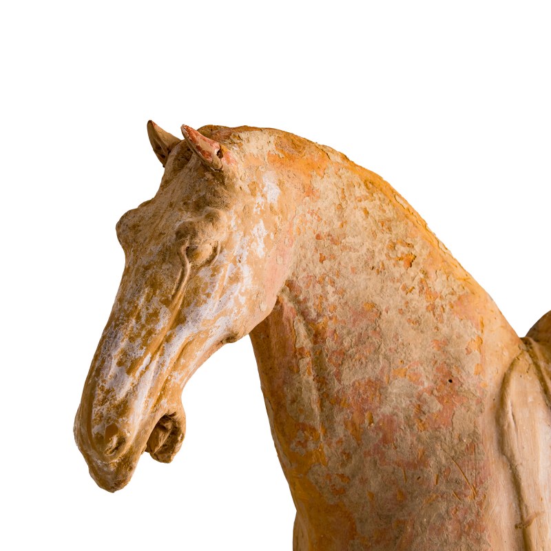 唐代 陶馬（附熱釋光證書） | A Chinese pottery horse, Tang dynasty - 图7