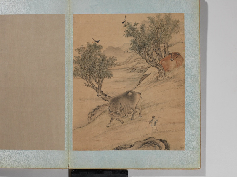 沈铨  花鸟册 - 图12