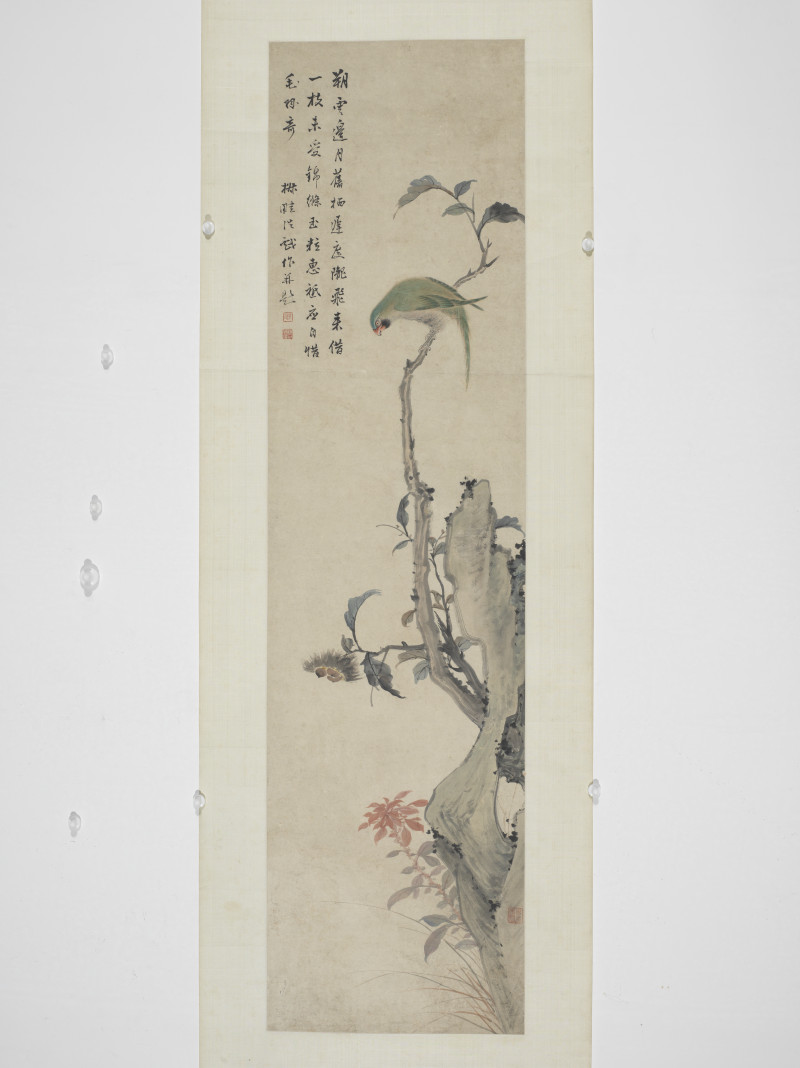 1766年作 王学浩  鹦鹉 - 图3