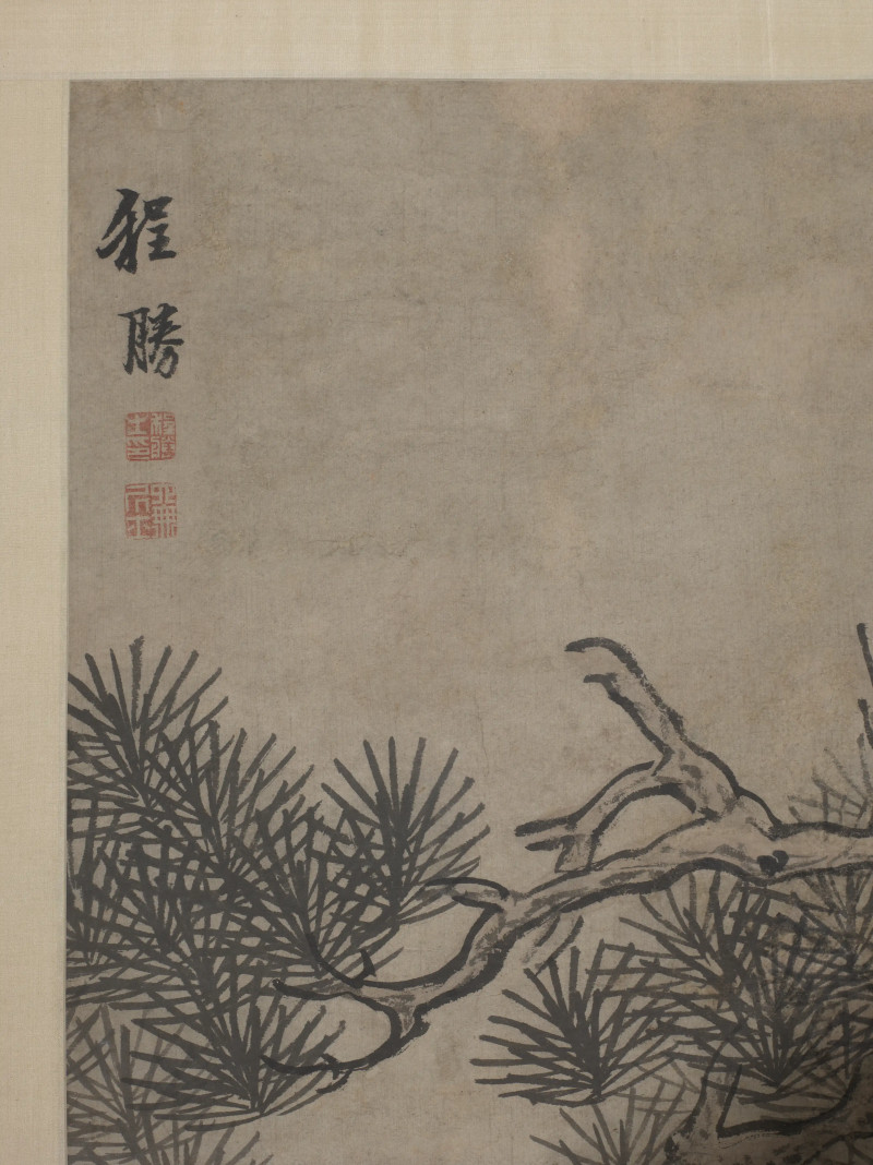程胜  松石长寿 - 图4
