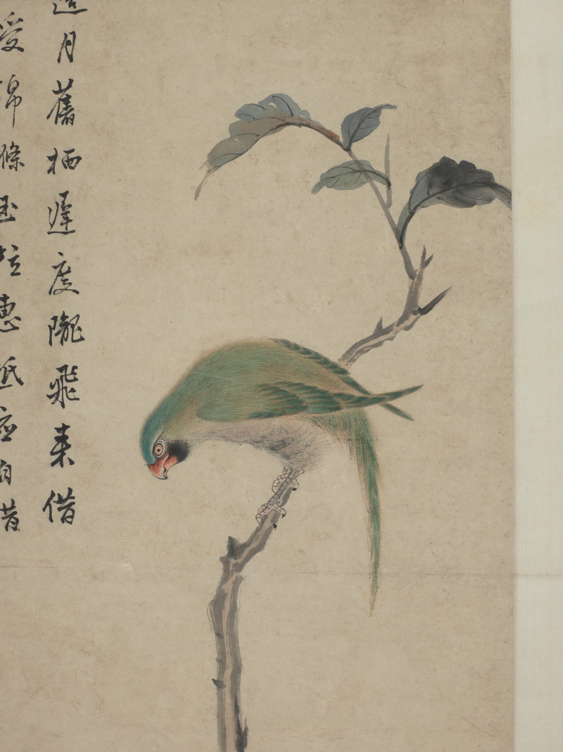 1766年作 王学浩  鹦鹉 - 图5