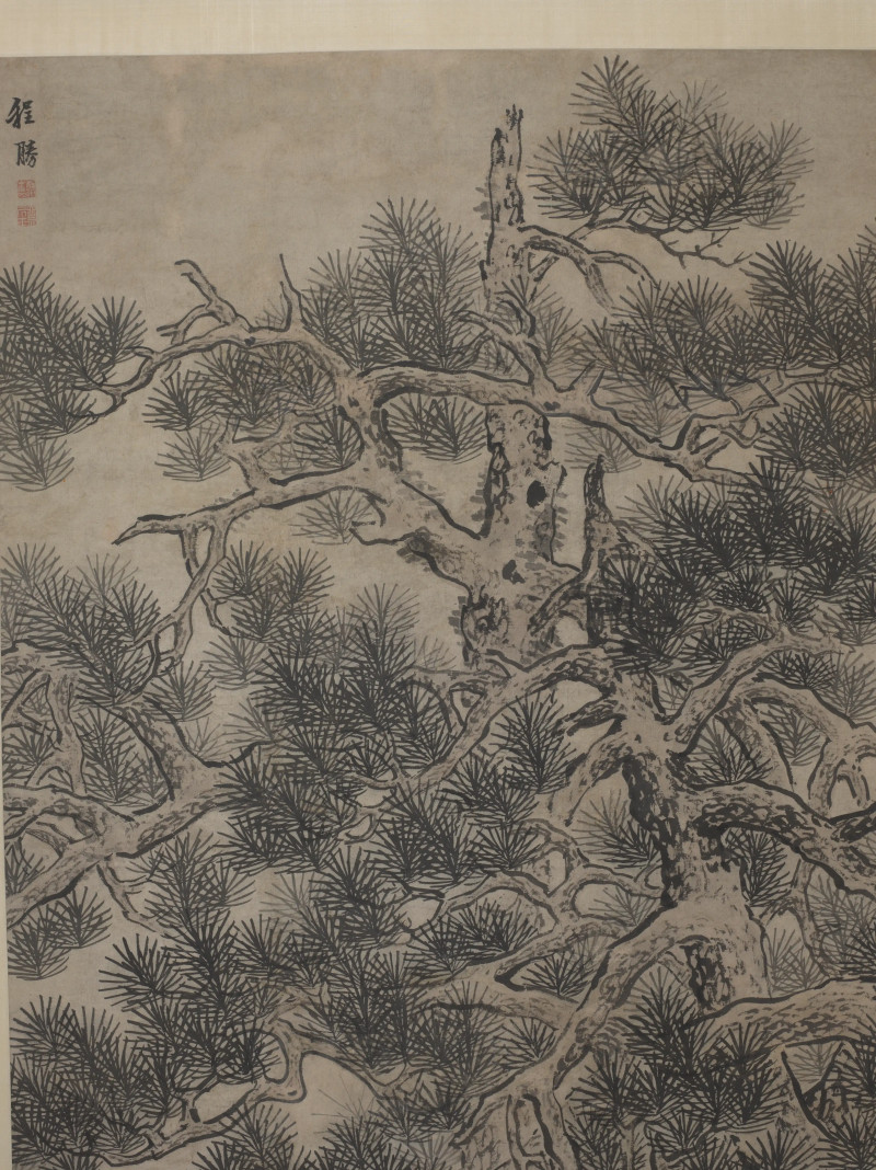 程胜  松石长寿 - 图5