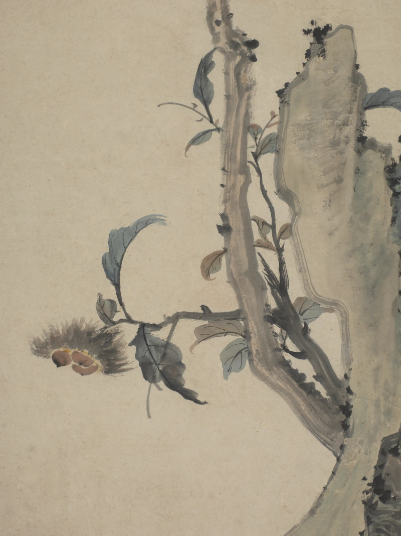 1766年作 王学浩  鹦鹉 - 图6