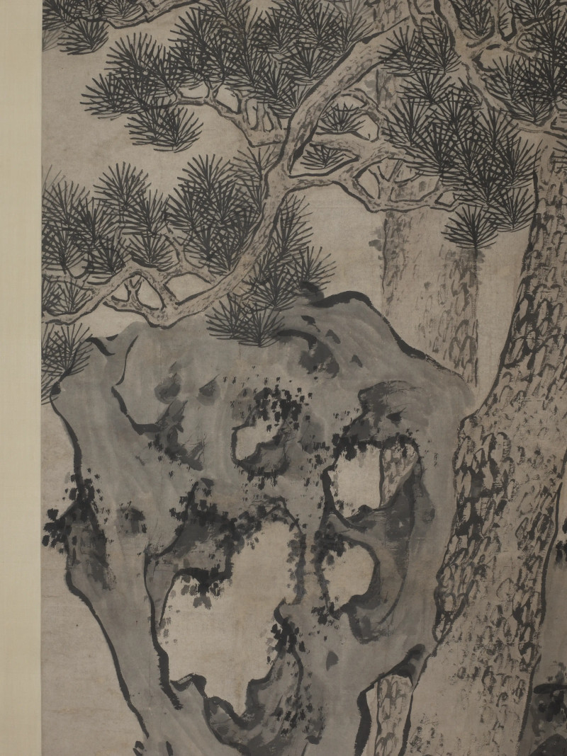 程胜  松石长寿 - 图6