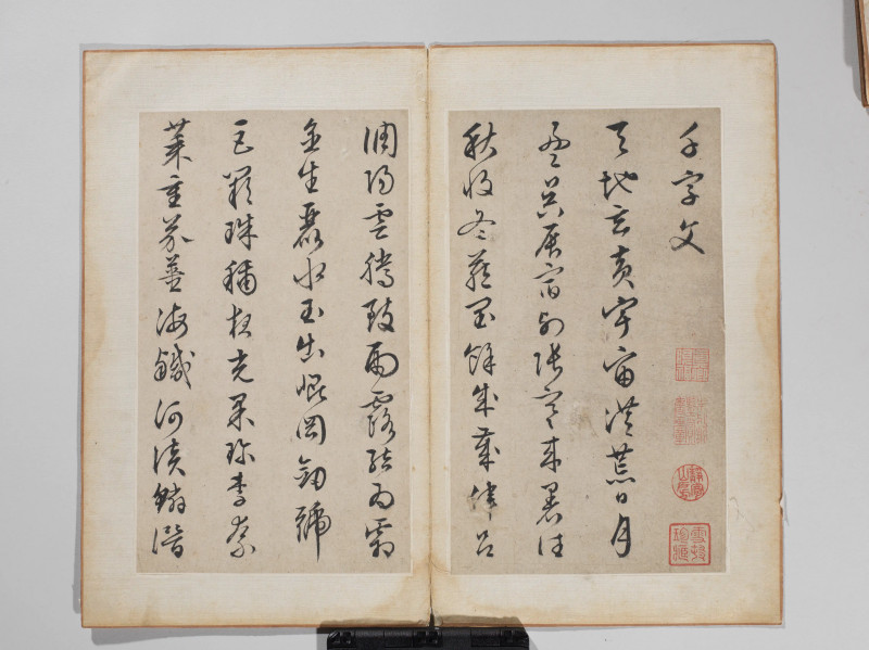 文徵明 1548年作 草书千字文册 - 图2