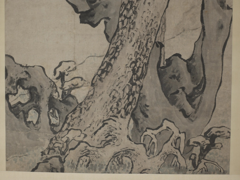 程胜  松石长寿 - 图7