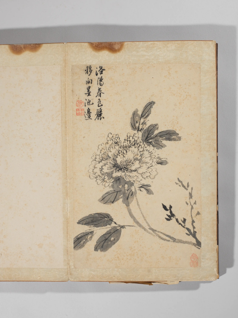 1742年作 王武  墨笔写生十二种 - 图2