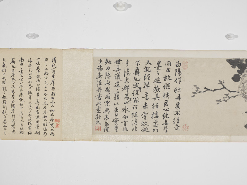 王武  仿陈白阳墨笔牡丹卷 - 图5