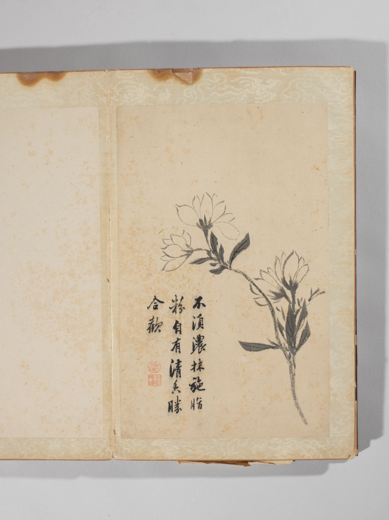 1742年作 王武  墨笔写生十二种 - 图3