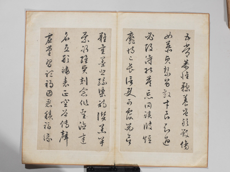 文徵明 1548年作 草书千字文册 - 图4