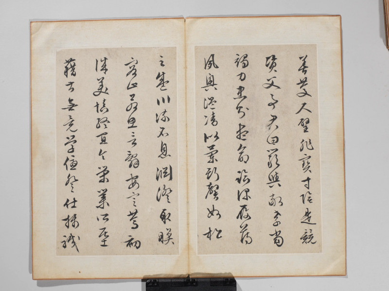 文徵明 1548年作 草书千字文册 - 图5