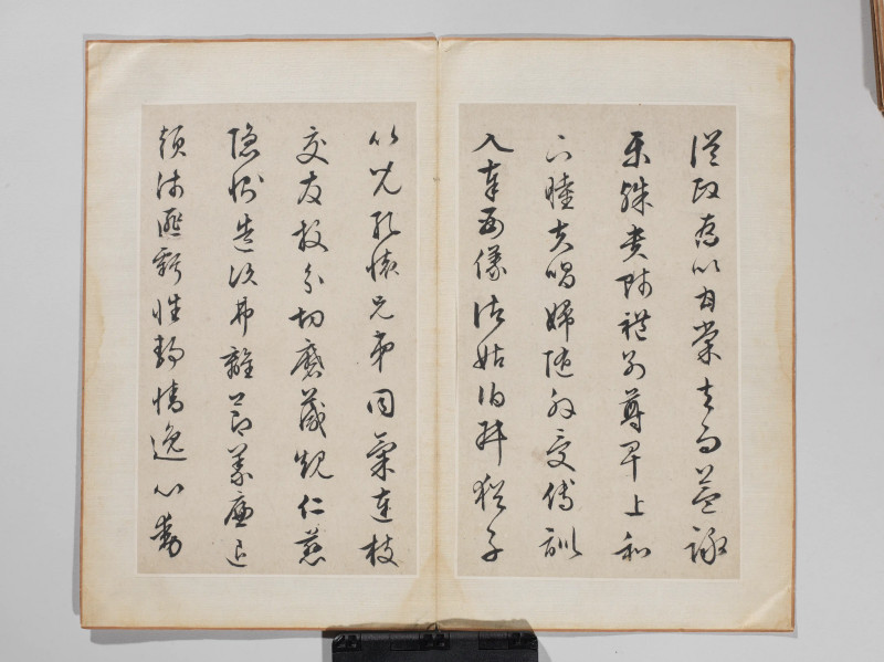 文徵明 1548年作 草书千字文册 - 图6