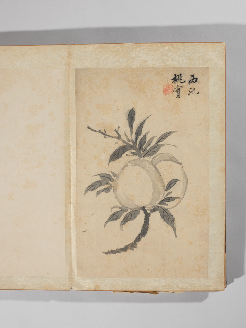 1742年作 王武  墨笔写生十二种 - 图5