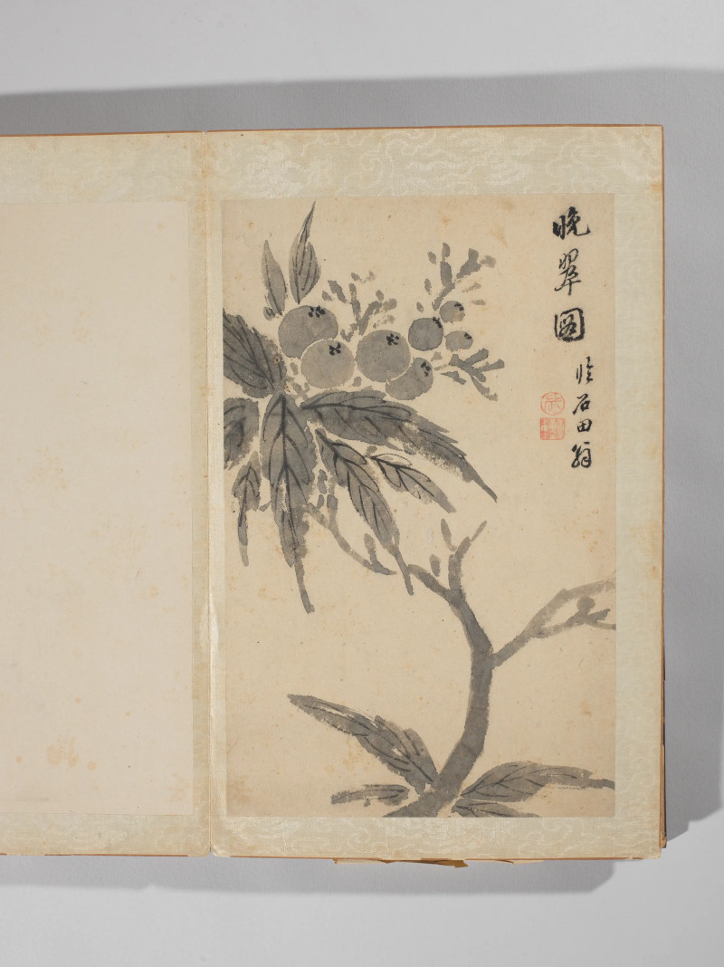 1742年作 王武  墨笔写生十二种 - 图6
