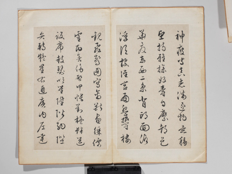 文徵明 1548年作 草书千字文册 - 图7