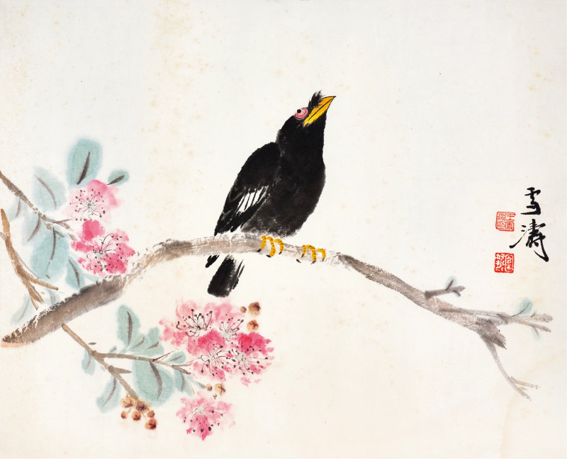 王雪涛  桃花八哥