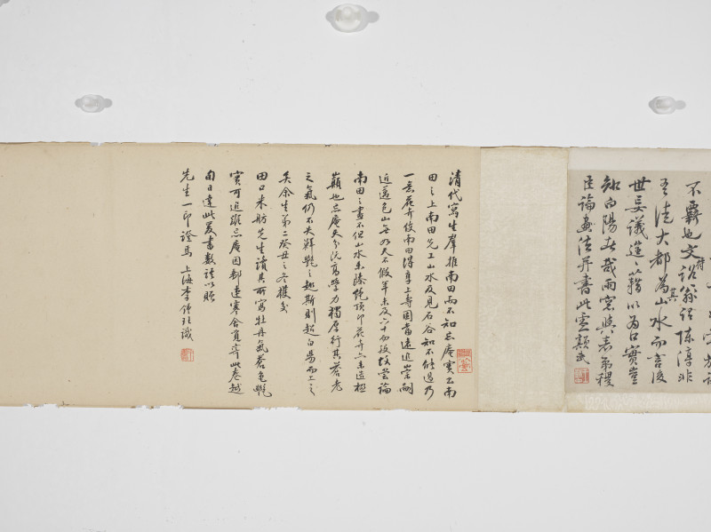 王武  仿陈白阳墨笔牡丹卷 - 图6