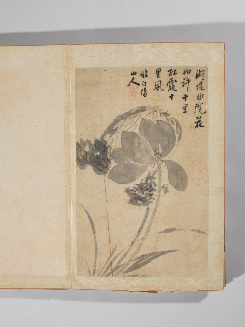 1742年作 王武  墨笔写生十二种 - 图7