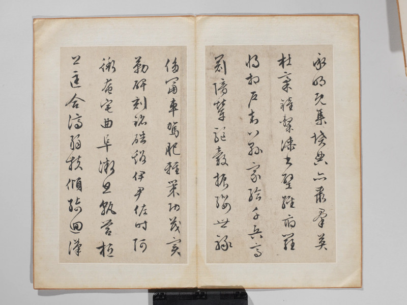 文徵明 1548年作 草书千字文册 - 图8