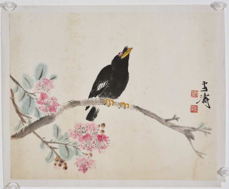 王雪涛  桃花八哥 - 图2