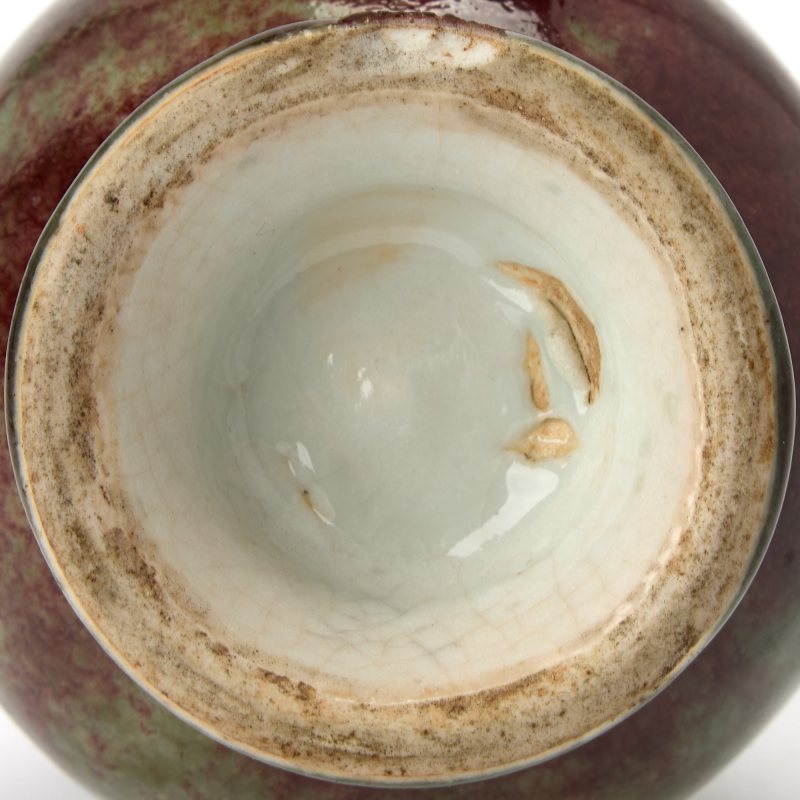 A Chinese Peachbloom Glazed Porcelain Vase - 图5