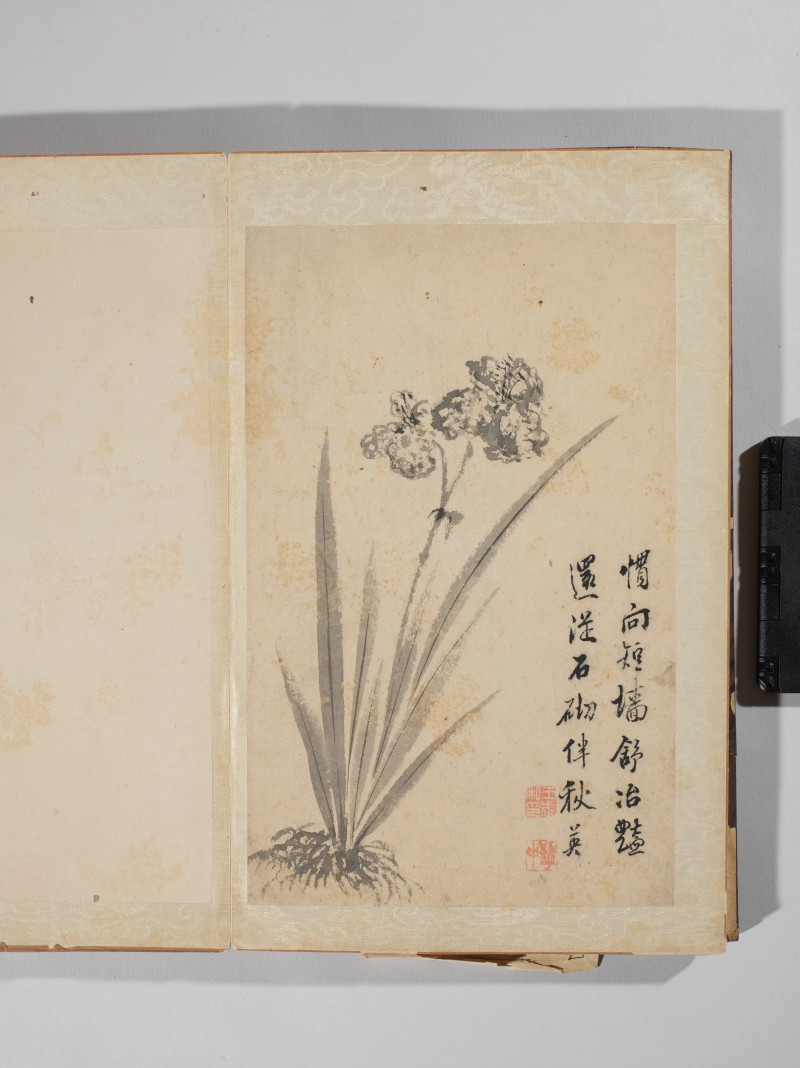1742年作 王武  墨笔写生十二种 - 图8