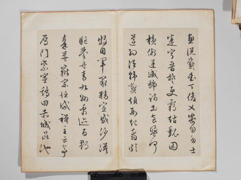 文徵明 1548年作 草书千字文册 - 图9