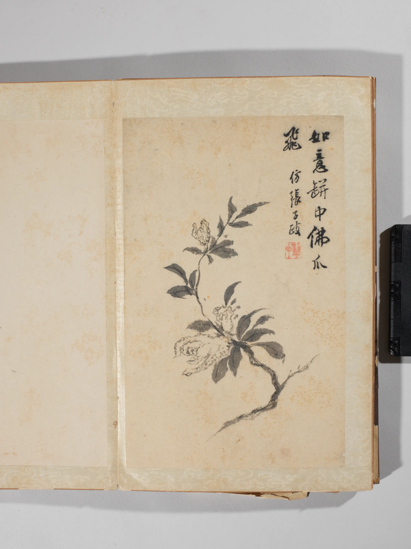 1742年作 王武  墨笔写生十二种 - 图9