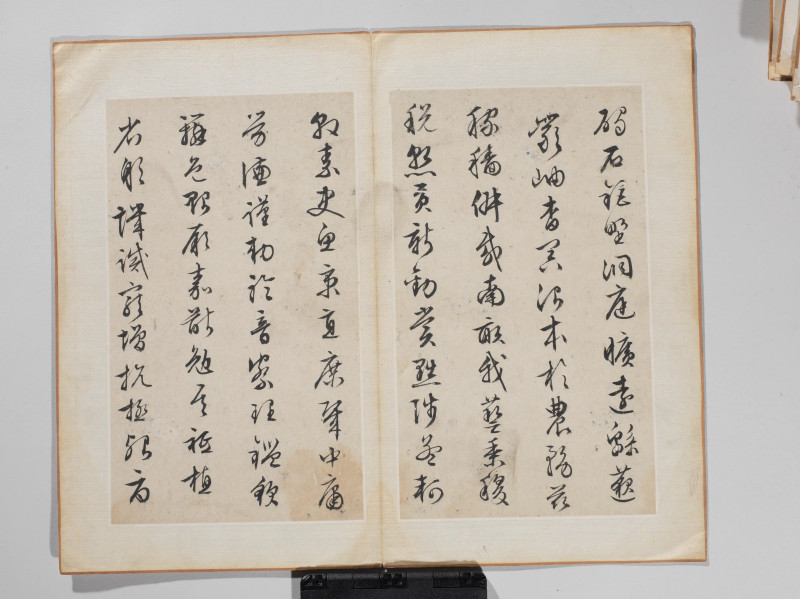 文徵明 1548年作 草书千字文册 - 图10