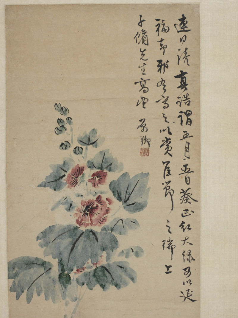 陈舒  山葵图 - 图4