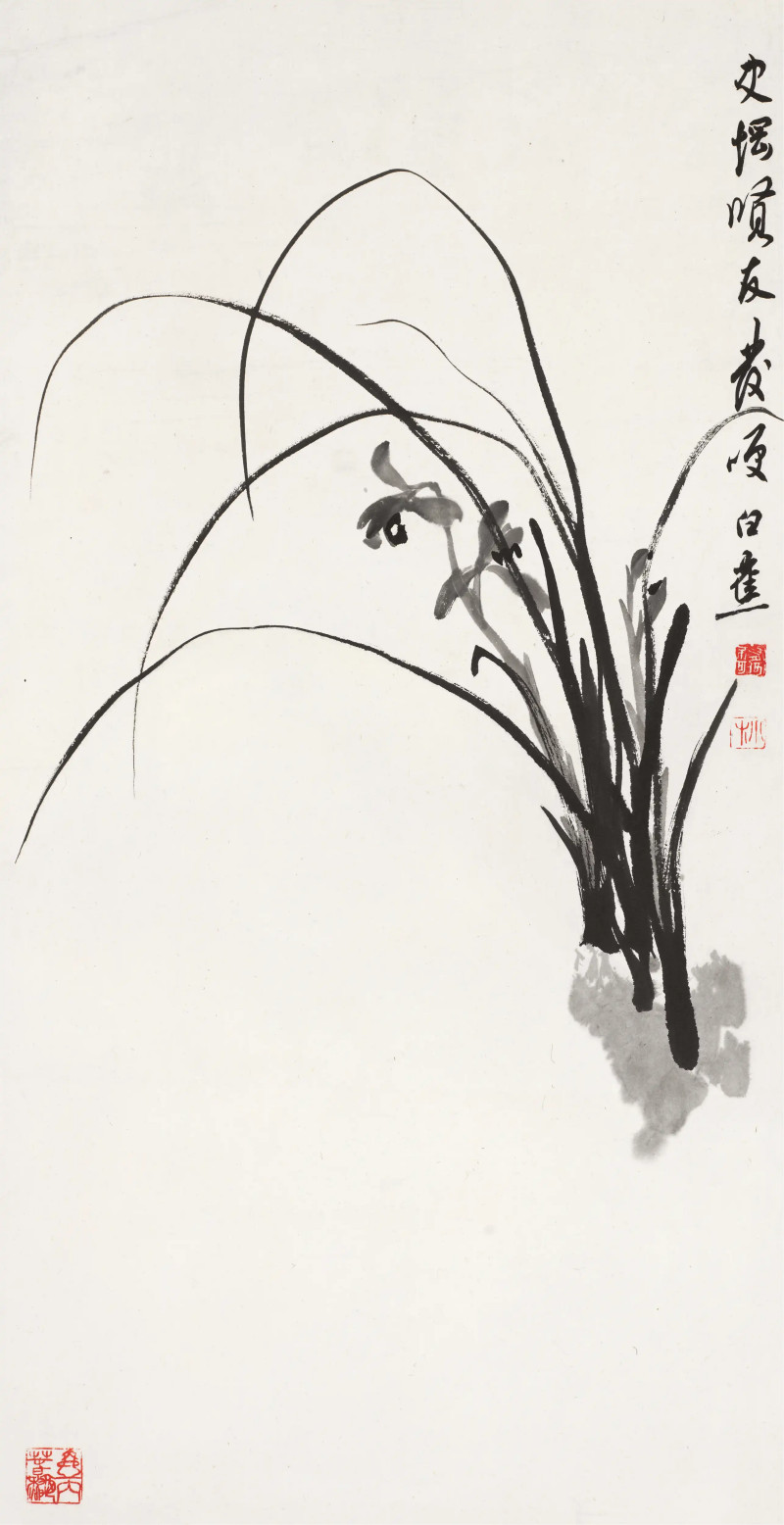 白蕉  兰花