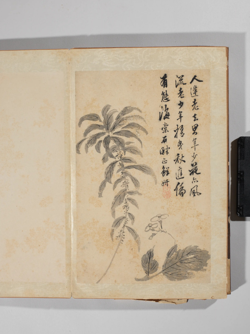 1742年作 王武  墨笔写生十二种 - 图10