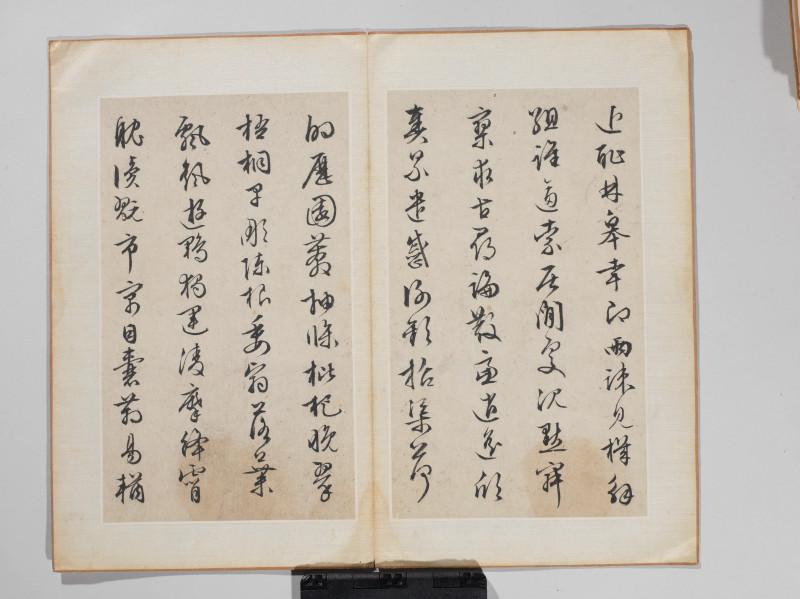 文徵明 1548年作 草书千字文册 - 图11