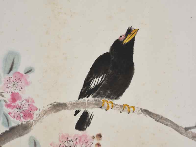 王雪涛  桃花八哥 - 图3