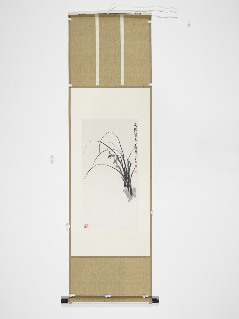 白蕉  兰花 - 图2