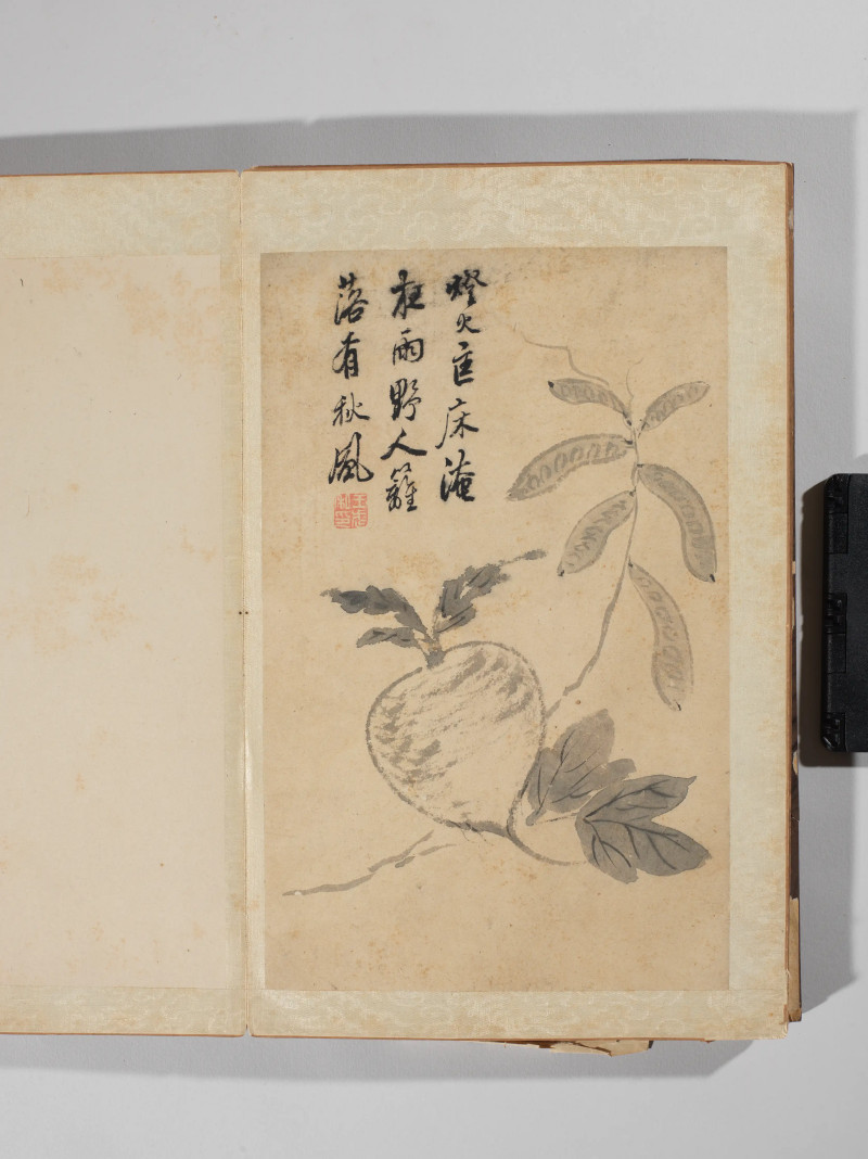 1742年作 王武  墨笔写生十二种 - 图11