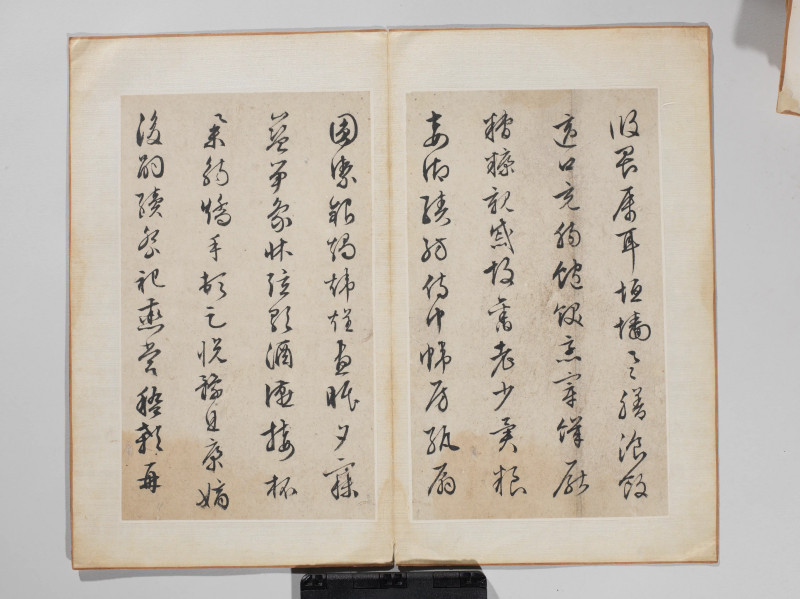 文徵明 1548年作 草书千字文册 - 图12